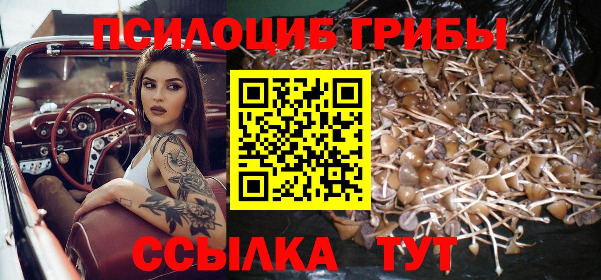магазин  наркотиков  Псилоцибиновые грибы мицелий  Вход с VPN  Сызрань 